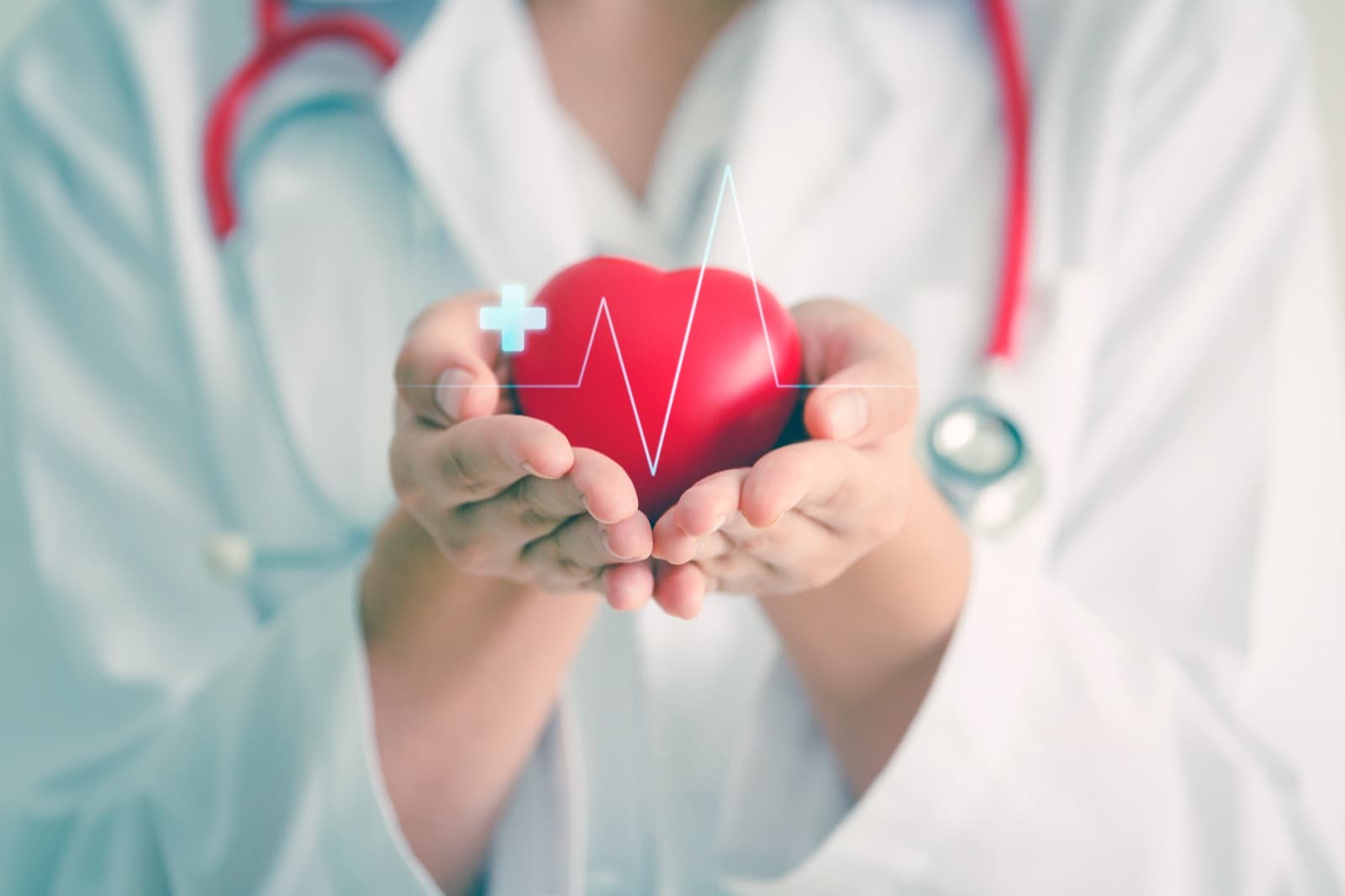 Lékař drží v dlaních červené srdce se symbolem EKG